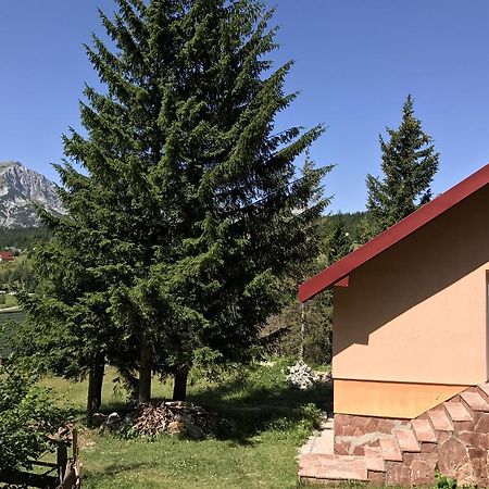 Durmitor Apartments Holiday Žabljak Zewnętrze zdjęcie