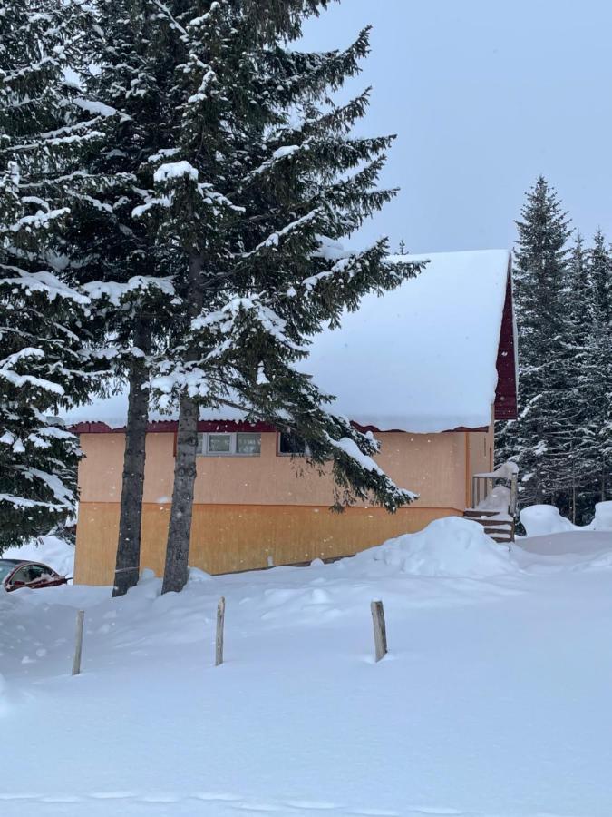 Durmitor Apartments Holiday Žabljak Zewnętrze zdjęcie