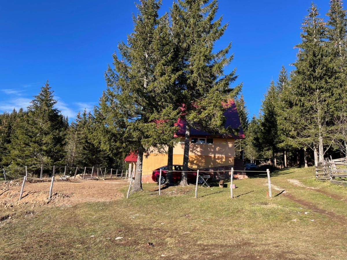 Durmitor Apartments Holiday Žabljak Zewnętrze zdjęcie