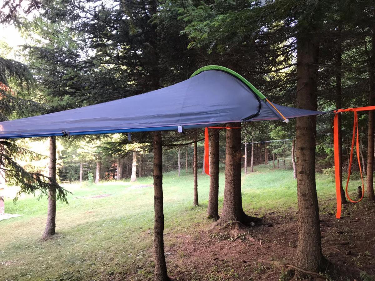 Durmitor Apartments Holiday Žabljak Zewnętrze zdjęcie