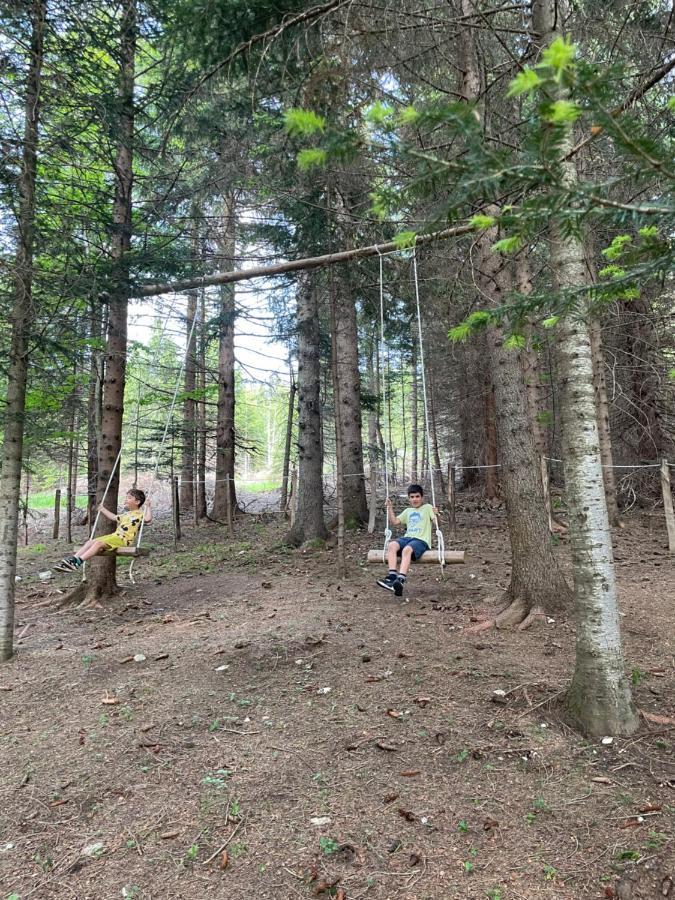 Durmitor Apartments Holiday Žabljak Zewnętrze zdjęcie