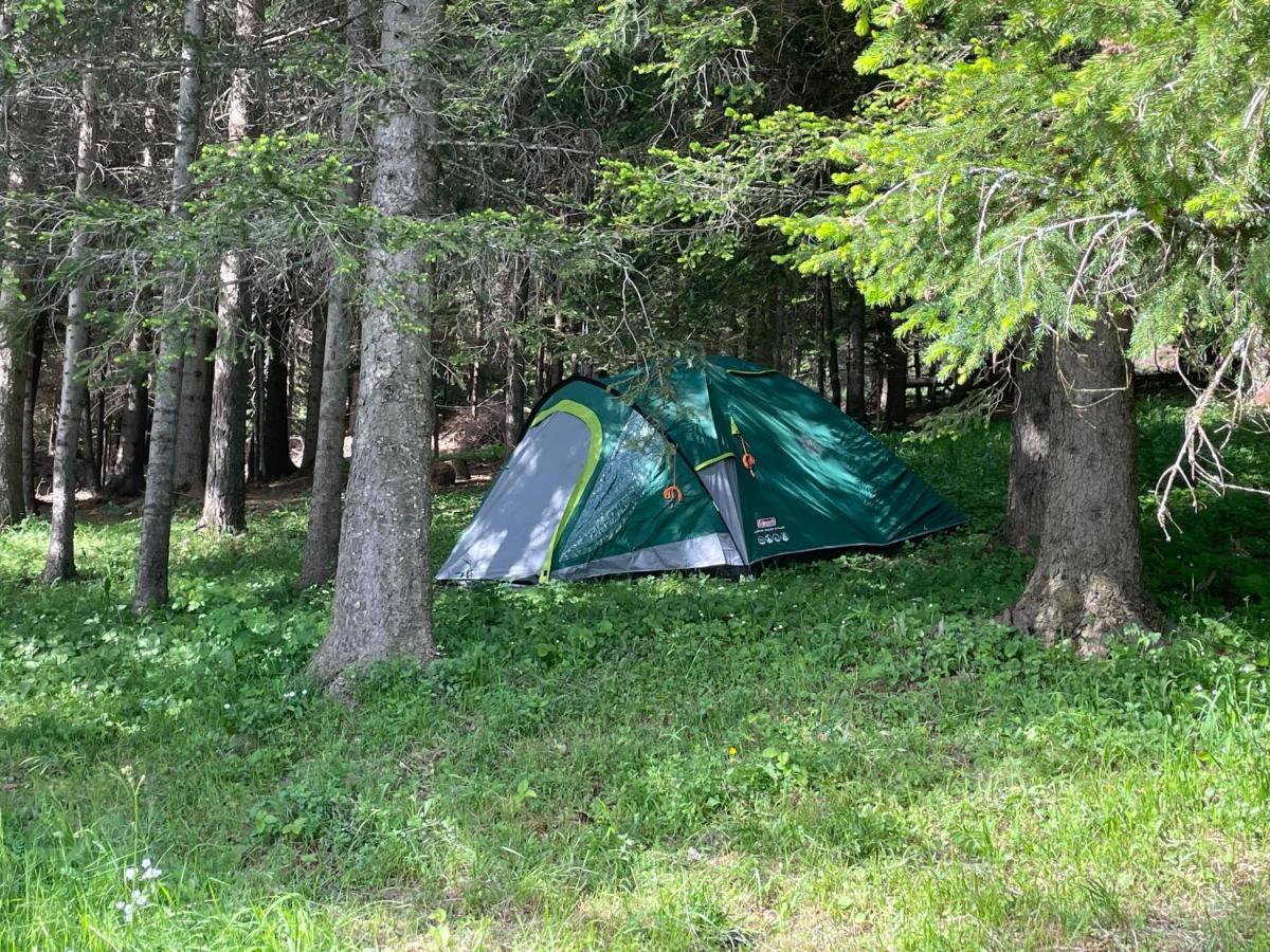 Durmitor Apartments Holiday Žabljak Zewnętrze zdjęcie