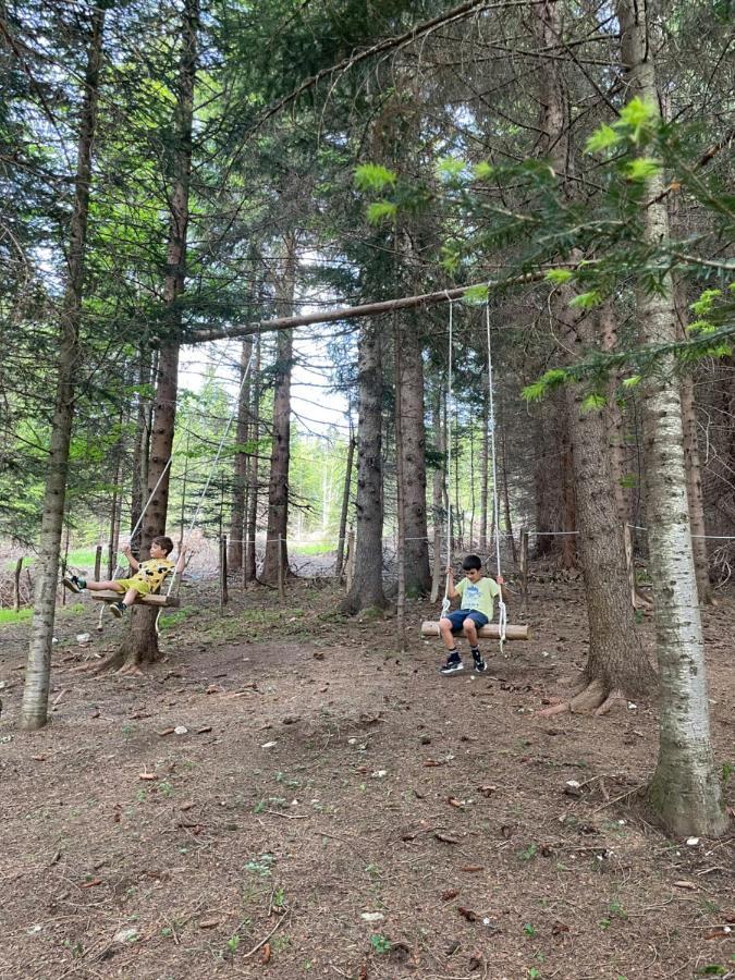 Durmitor Apartments Holiday Žabljak Zewnętrze zdjęcie
