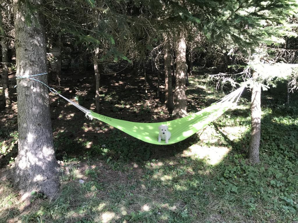 Durmitor Apartments Holiday Žabljak Zewnętrze zdjęcie
