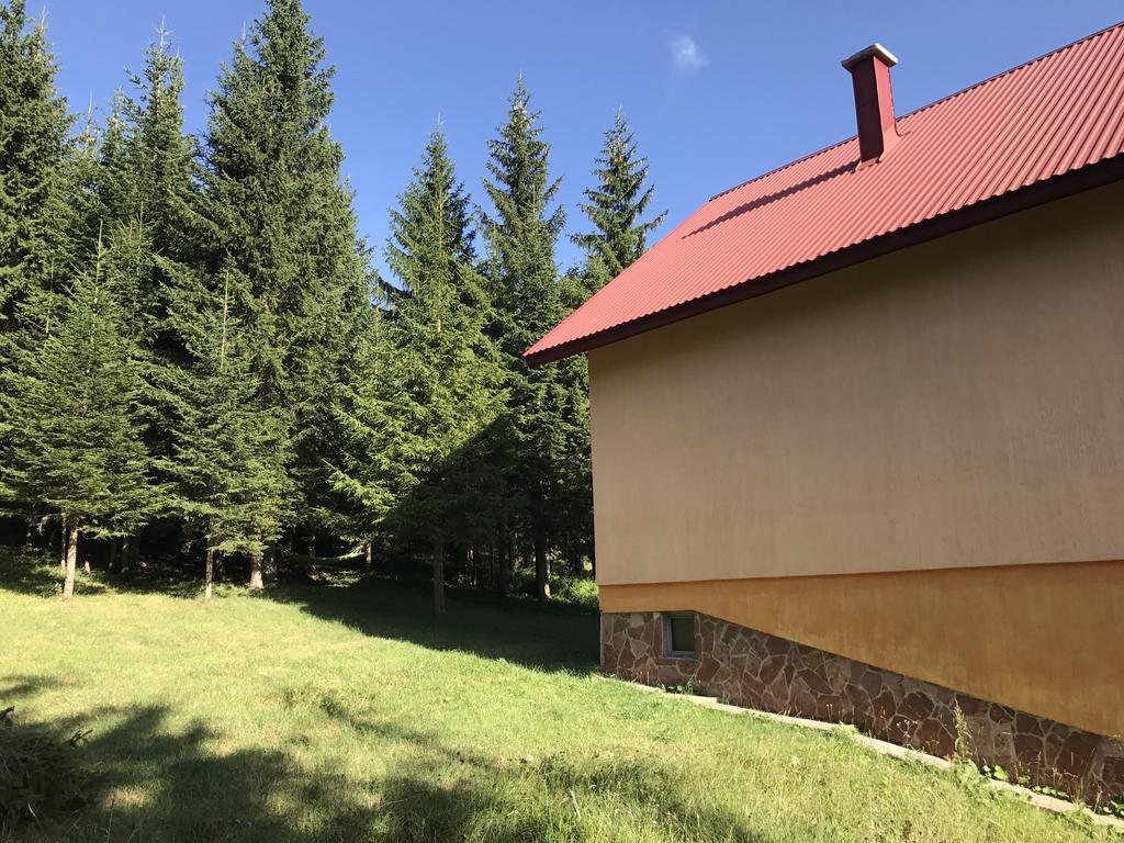 Durmitor Apartments Holiday Žabljak Zewnętrze zdjęcie