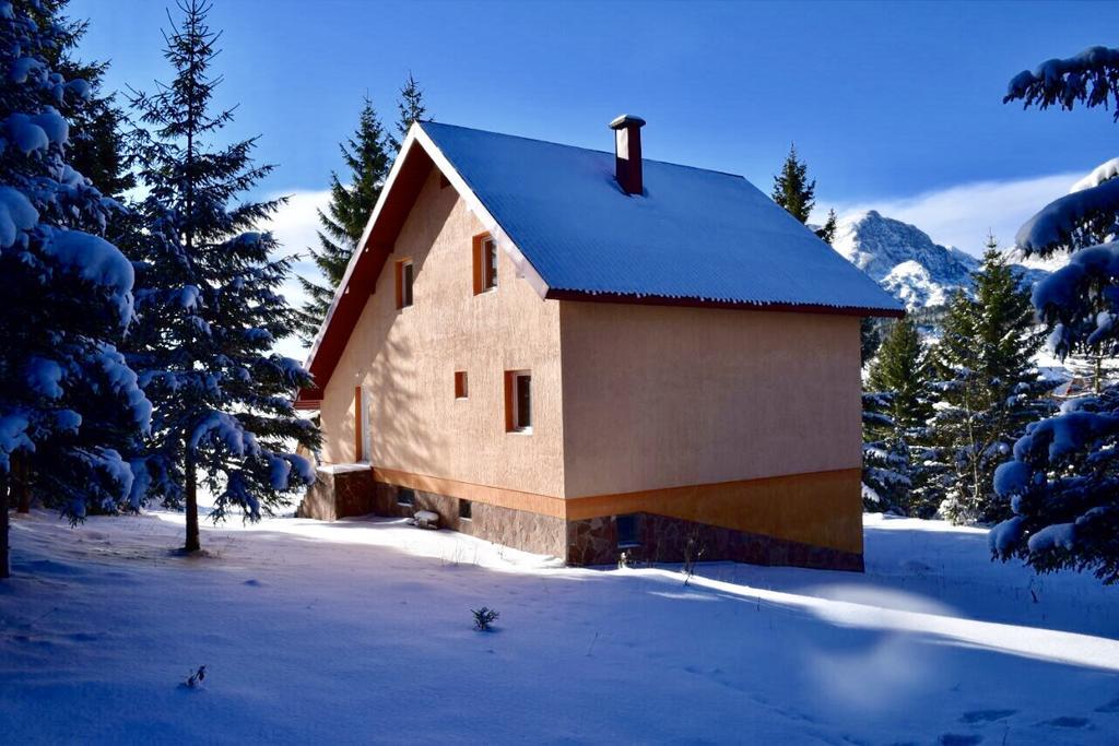 Durmitor Apartments Holiday Žabljak Zewnętrze zdjęcie