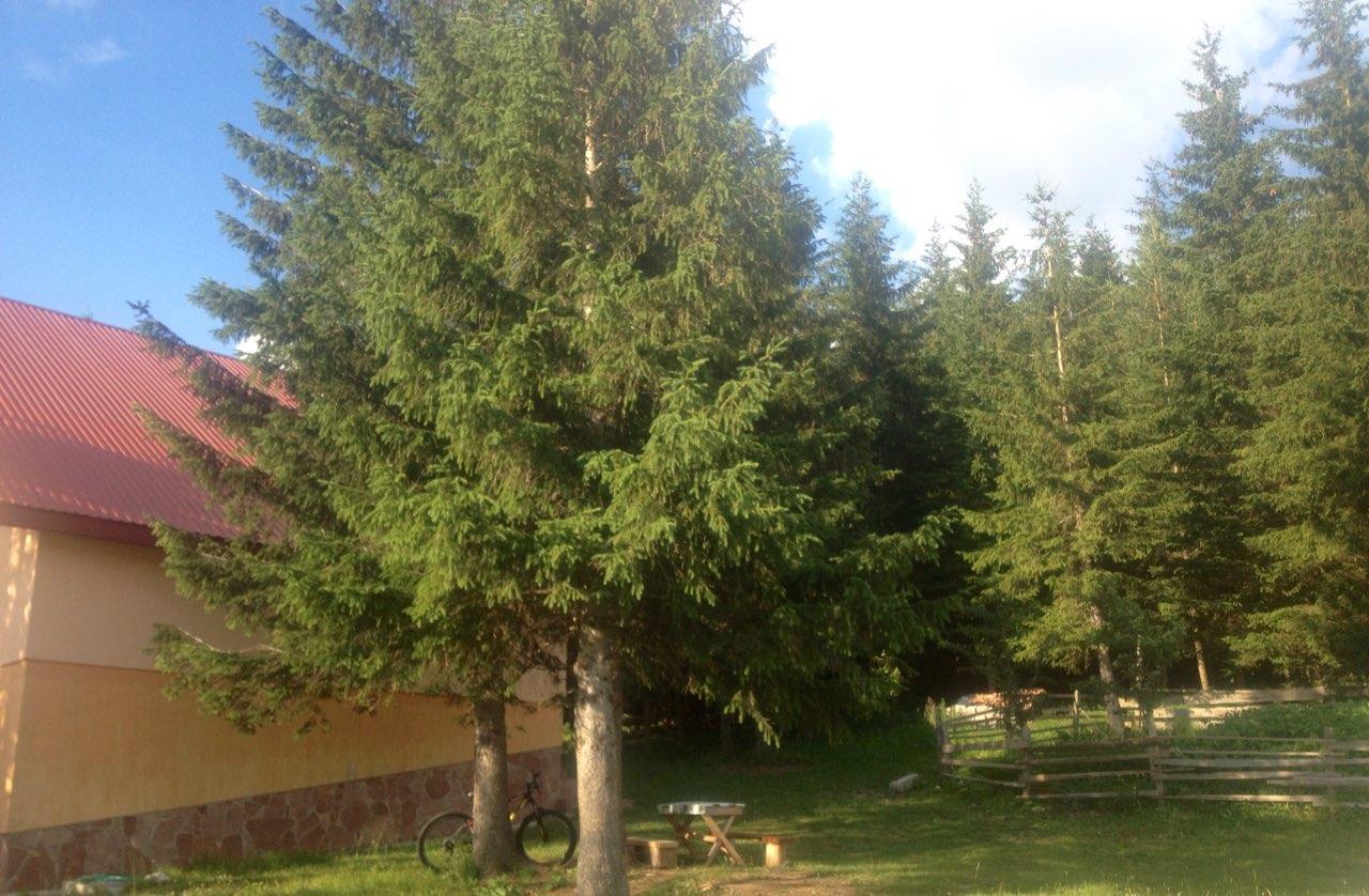 Durmitor Apartments Holiday Žabljak Zewnętrze zdjęcie