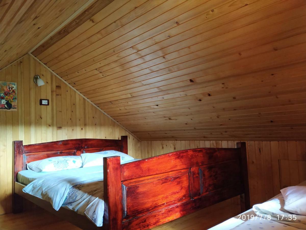 Durmitor Apartments Holiday Žabljak Zewnętrze zdjęcie